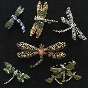 Dragonfly Pin Set